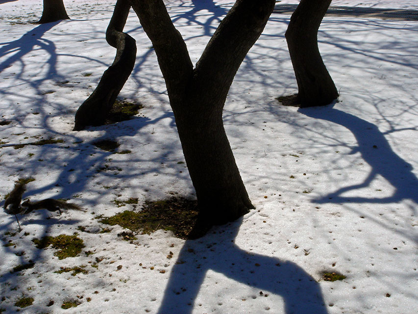Battery Park