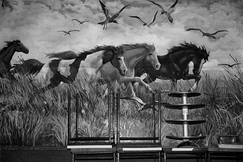 Caballos en la cantina